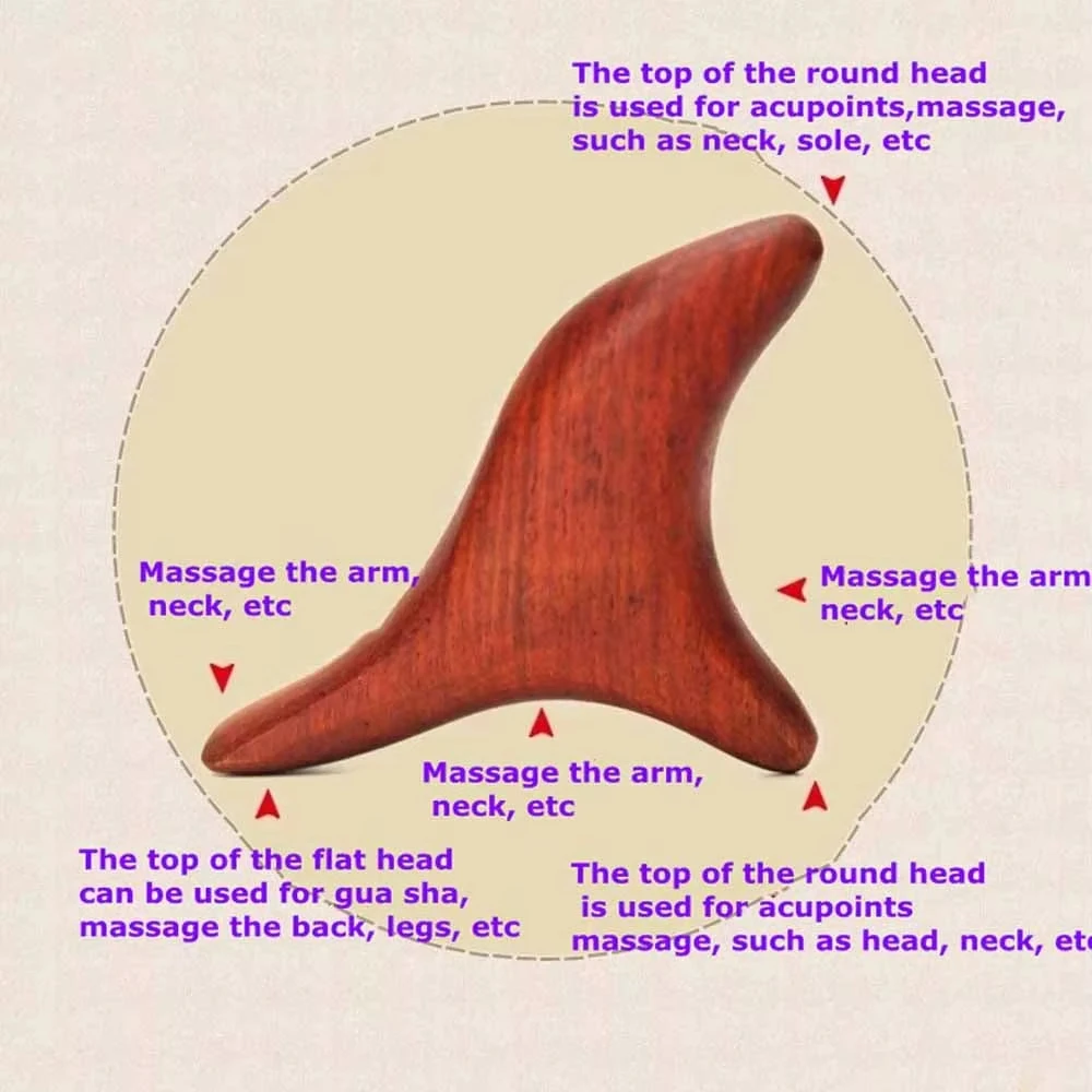 1 Herramienta de Madera para M - Home Gym Manual reseña y precio