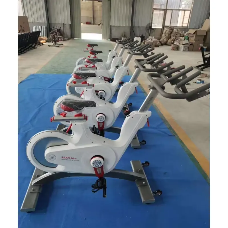 Bicicleta de Spinning Profesio - Home Gym Bike reseña y precio