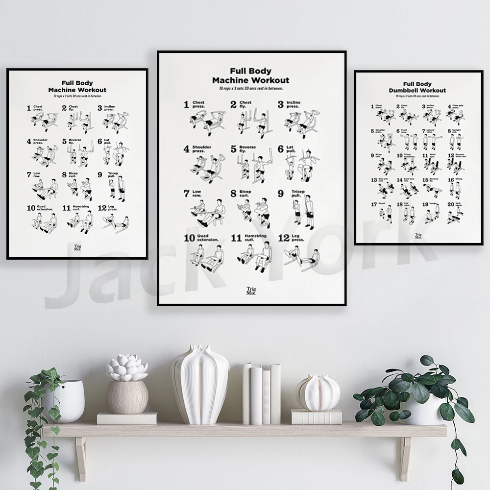 Póster de entrenamiento con ma - Home Gym York reseña y precio